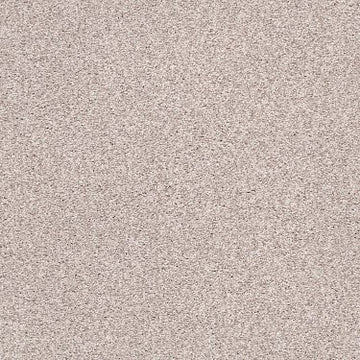 Dolphin Sighting (T)