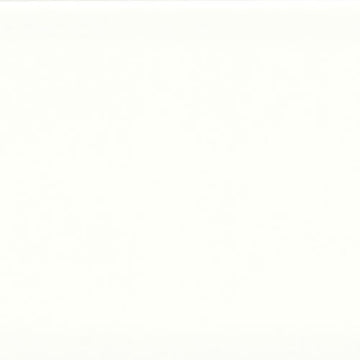 Astonished White Silk 3x6