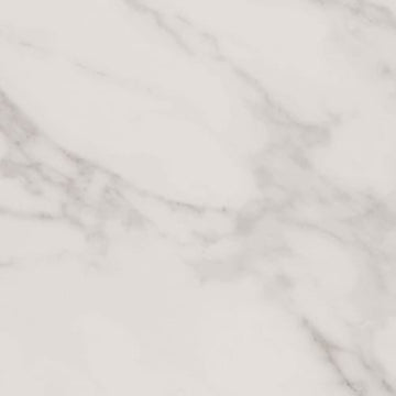 Honesty 12x24 - Matte