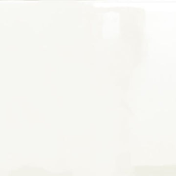 Ivory Glossy 3" X 6"