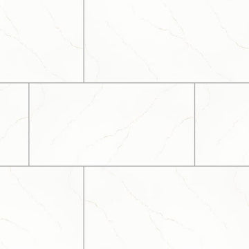 Gray - 24x48 Polished