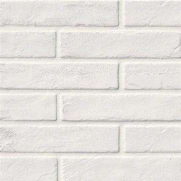 White - 2x10