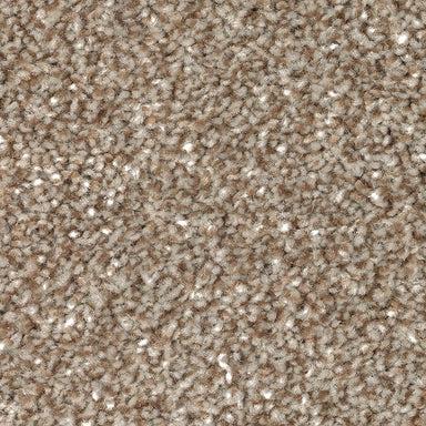 Mohawk True Unity Carpet Flooring