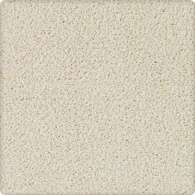 Karastan Ambassador Classica Carpet Flooring