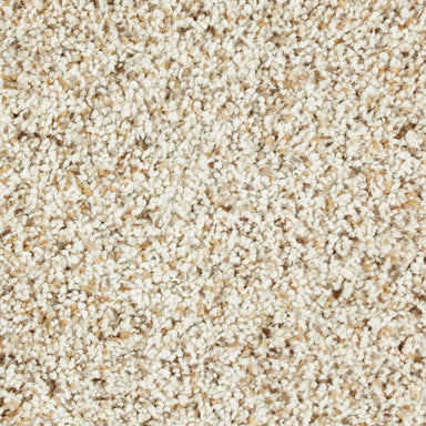 Mohawk Exquisite Appeal Carpet Flooring