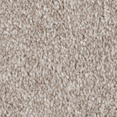 Mohawk True Melody Carpet Flooring