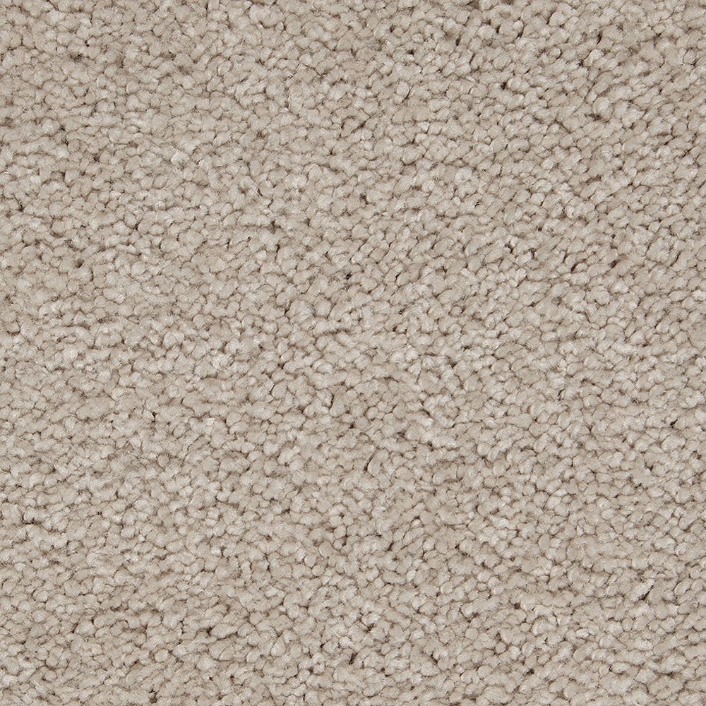 Mohawk Gentle Approach Carpet Flooring — America's Floor Source