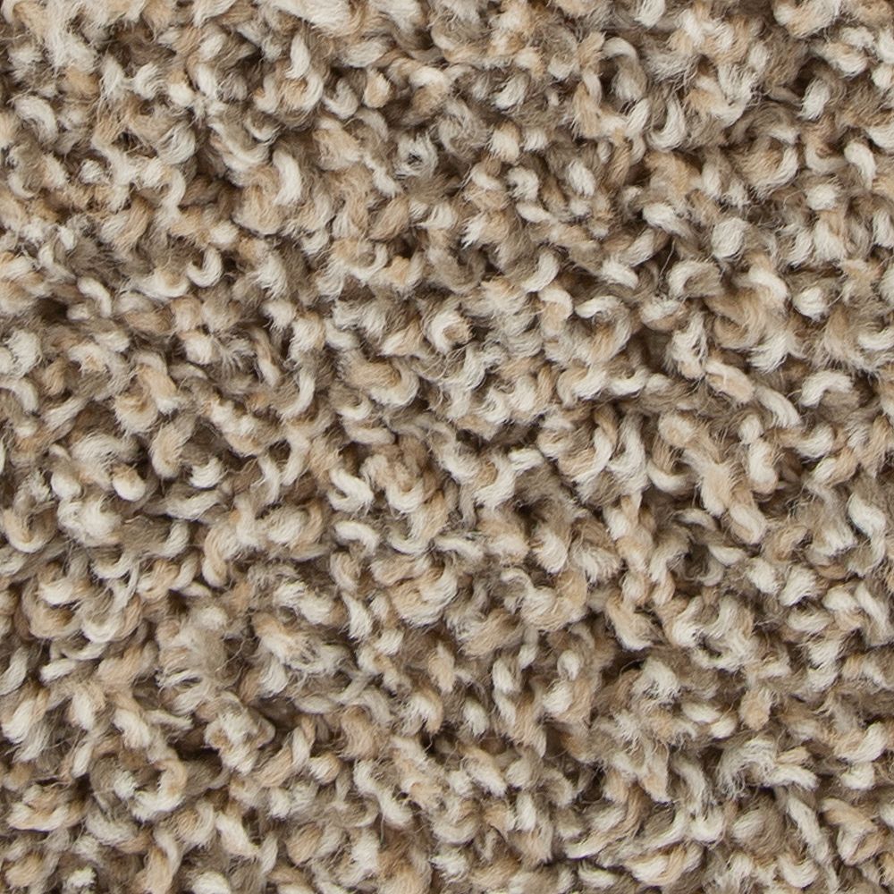 Mohawk Guardian Carpet Flooring