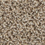 Mohawk Guardian Carpet Flooring