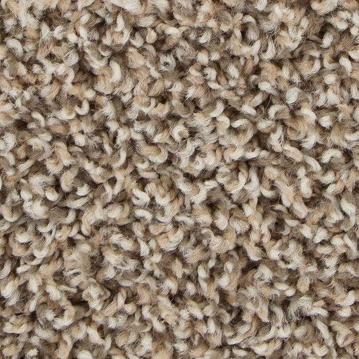 Mohawk Guardian Carpet Flooring