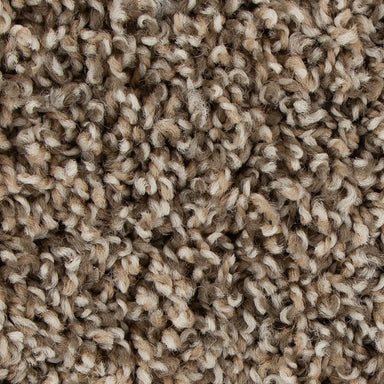 Mohawk Medalist Carpet Flooring