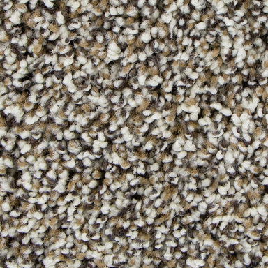 Mohawk Soft Intrigue I Carpet Flooring