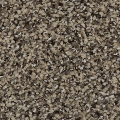Mohawk Exquisite Character Carpet Flooring