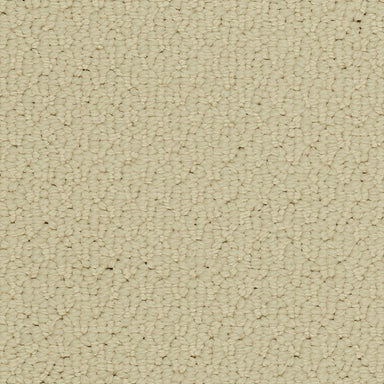 Mohawk Casual Beauty Carpet Flooring