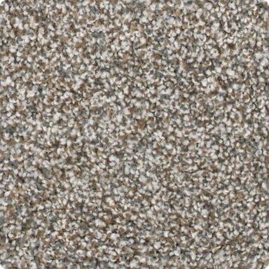 Karastan Ambassador Charismatic Approach Carpet Flooring