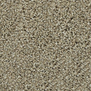Karastan Ambassador Bold Finish Carpet Flooring