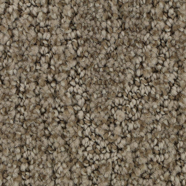 Mohawk Stylish Trend Carpet Flooring