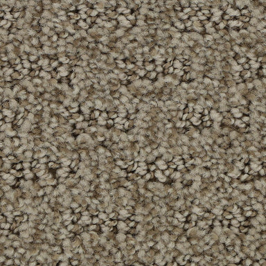 Mohawk Stylish Tones Carpet Flooring