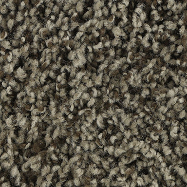 Mohawk Soft Aspect Carpet Flooring