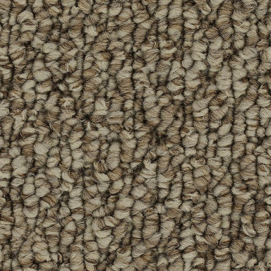 Mohawk Cozy Classic Carpet Flooring