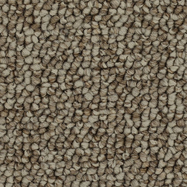 Mohawk Chic Comfort Carpet Flooring