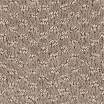 Taupe Treasure
