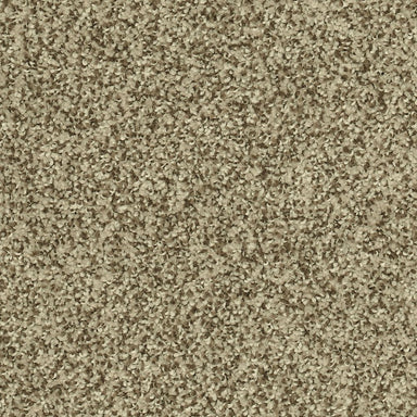 Karastan Modern View Carpet Flooring