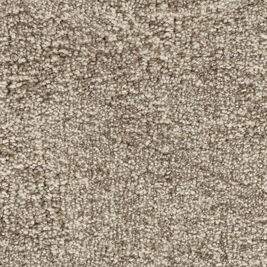 Karastan Intriguing Allure Carpet Flooring