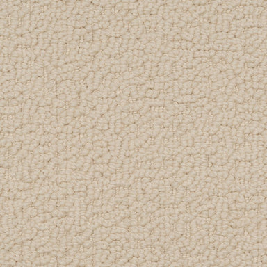 Karastan Inspired Approach Carpet Flooring