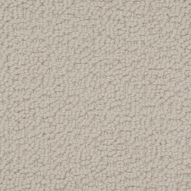 Karastan Ambassador Embellished Appeal Carpet Flooring