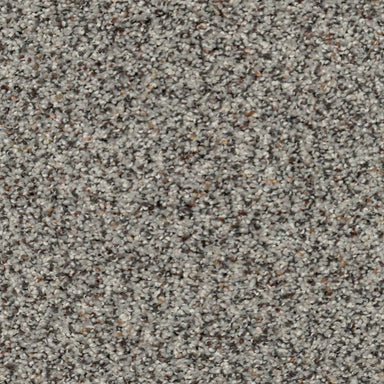 Karastan Ambassador Enduring Optimism Carpet Flooring