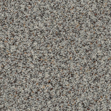 Karastan Instinctive Taste Carpet Flooring