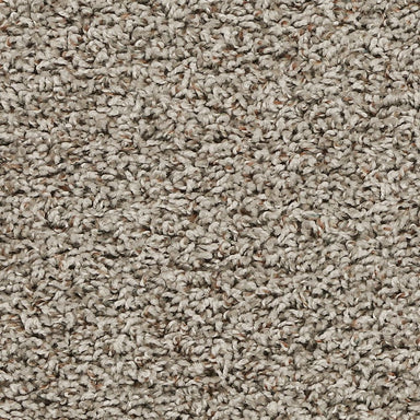 Mohawk Color Tradition Carpet Flooring