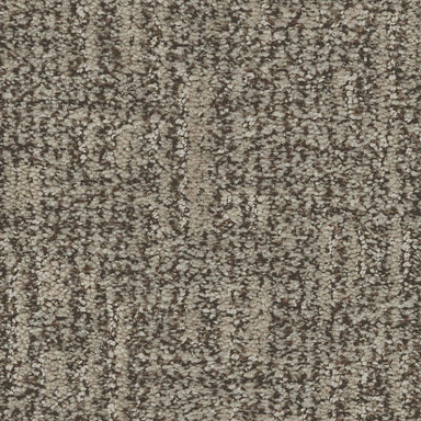 Karastan Artistic Elegance Carpet Flooring