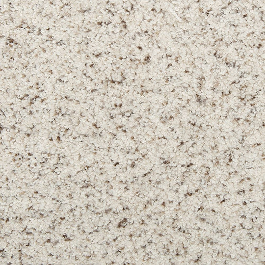 Delightful Journey I