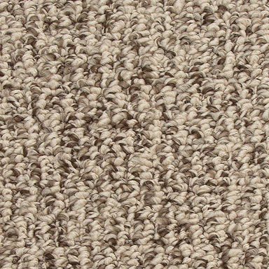 Mohawk Chromatic Carpet Flooring
