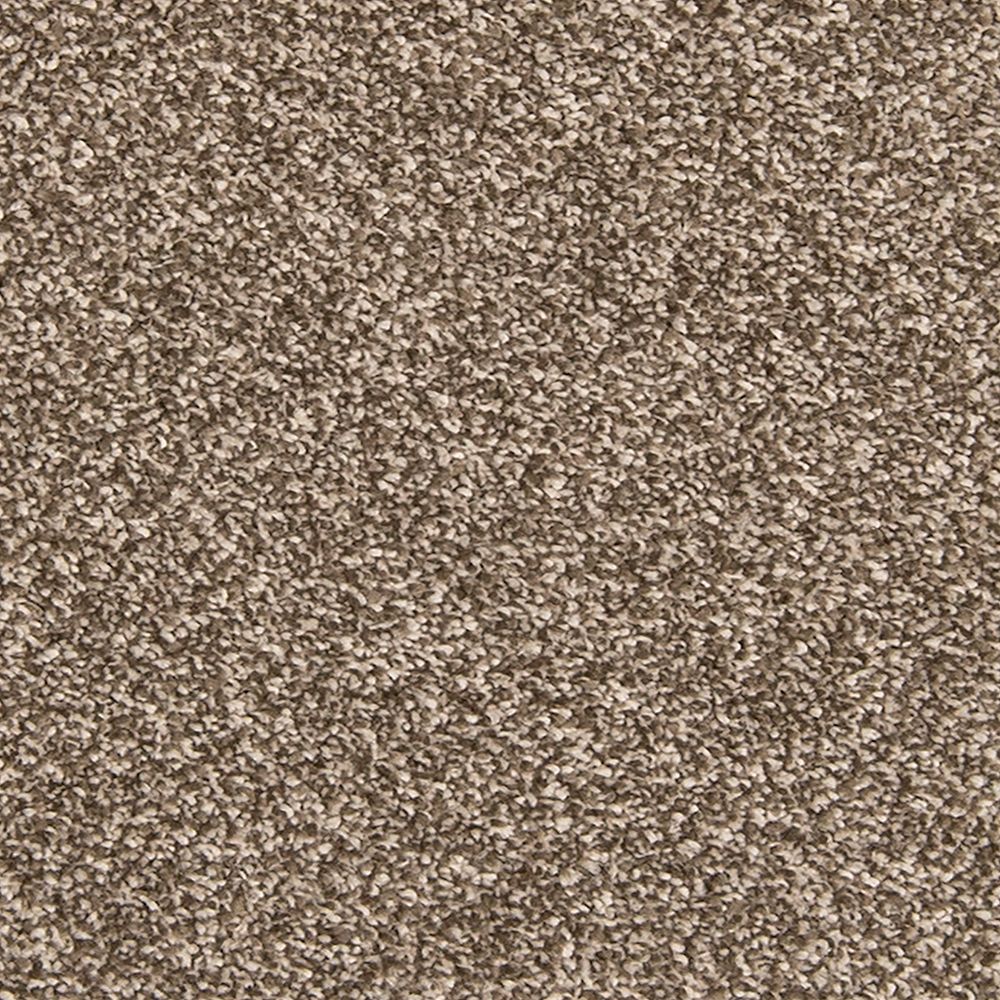 Mohawk Dynamic Quality I Carpet Flooring — America's Floor Source