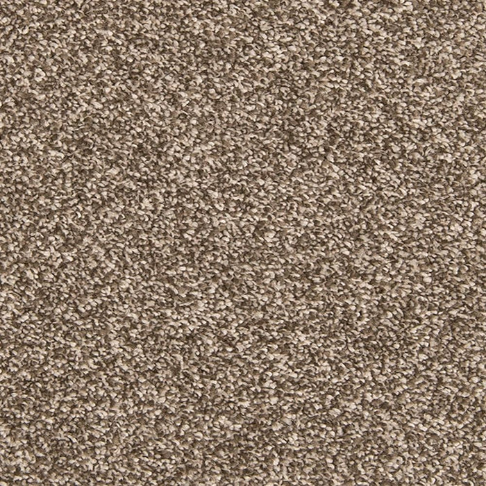 Mohawk Dynamic Quality I Carpet Flooring