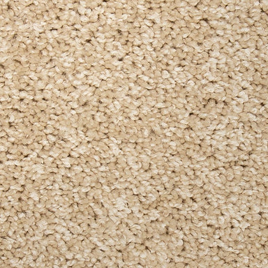 Mohawk Vitalize II Carpet Flooring