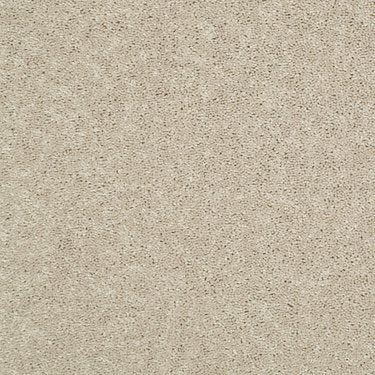 Mission Statement II 12