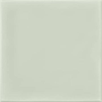 Succulent Green - 3x6