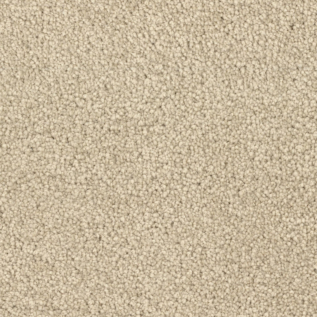 Spring Break Carpet Flooring by Dixie Home — America's Floor Source