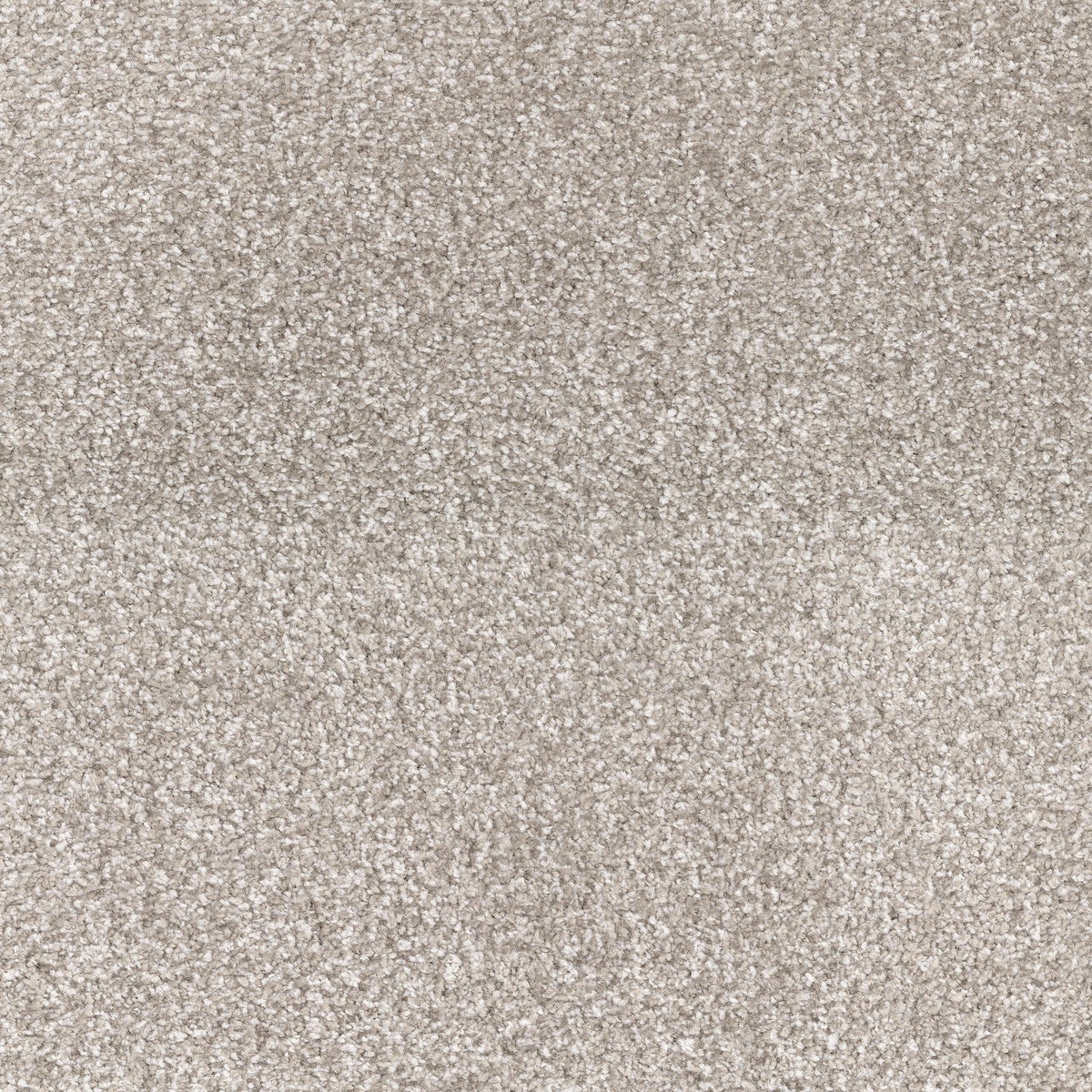 Spring Fling Carpet Flooring by Dixie Home — America's Floor Source